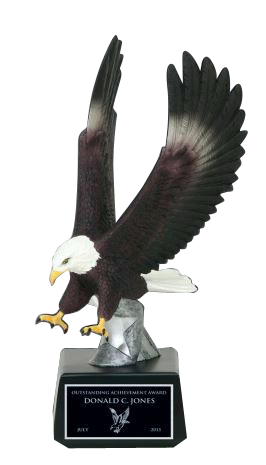 Striking Full Color Eagle Resin