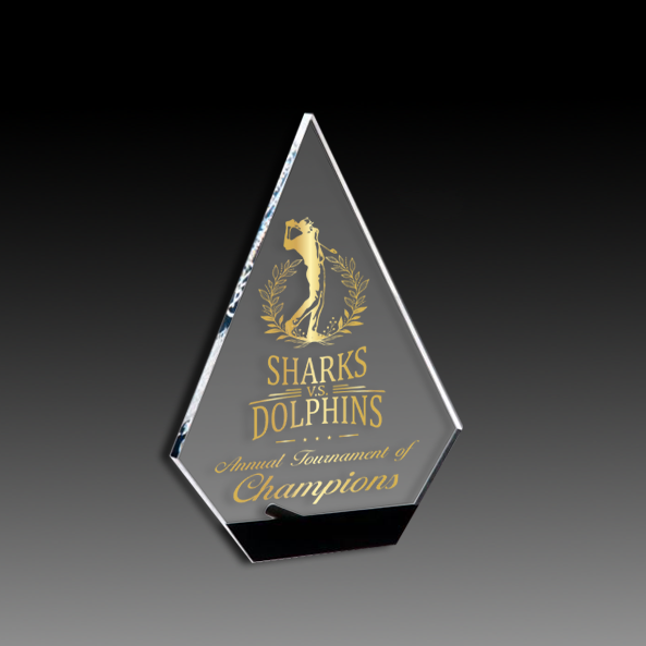 Diamond Series Clear Acrylic With Black Accent And Silver Post