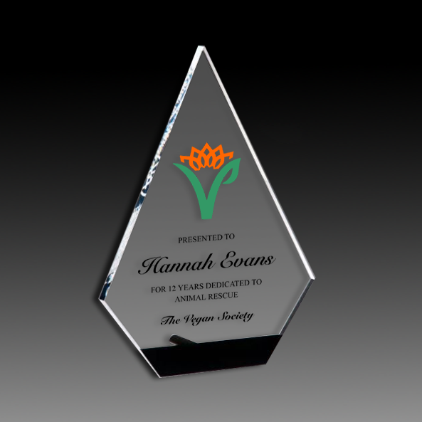 Diamond Series Clear Acrylic With Black Accent And Silver Post