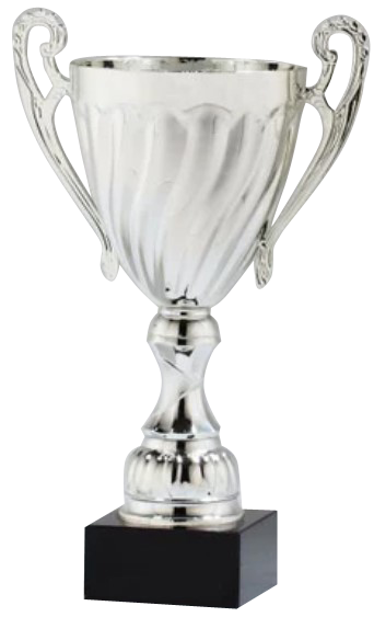 Silver Metal Cup On Marble Base