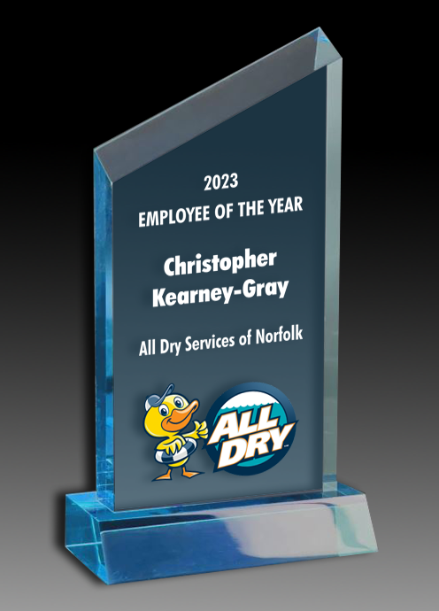 Acrylic Wedge Award