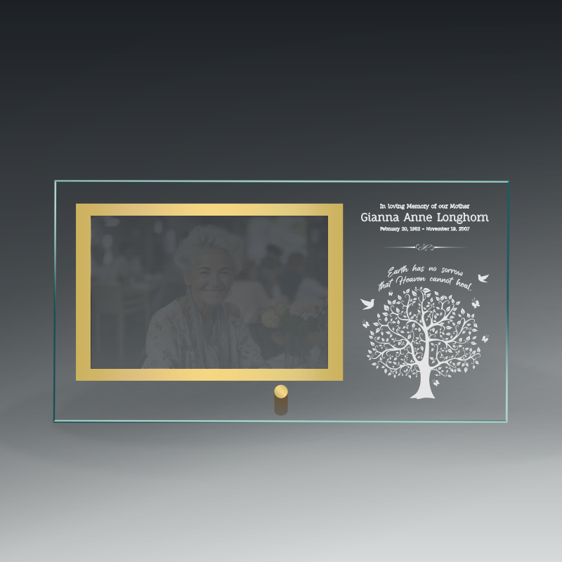 Clear Glass Frame With Pin