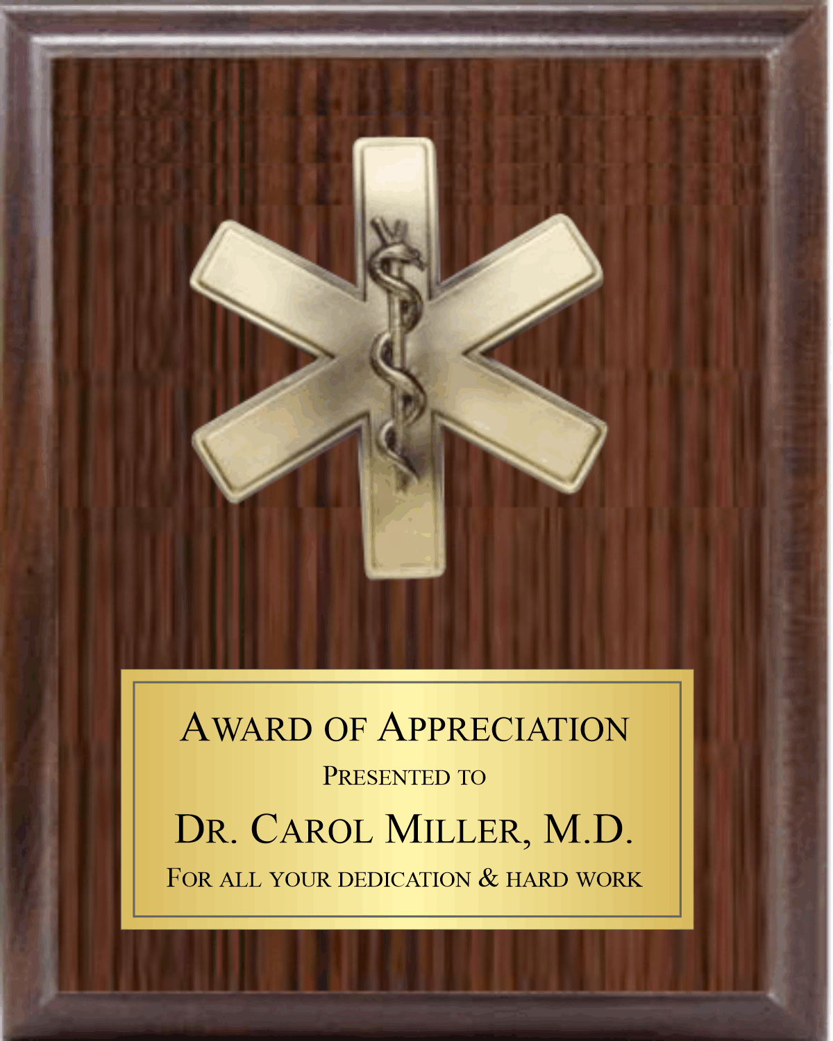5" Star Of Life On Plaque
