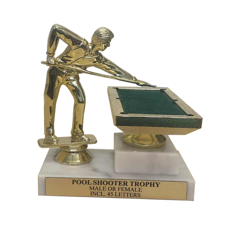 Pool Shooter Trophy