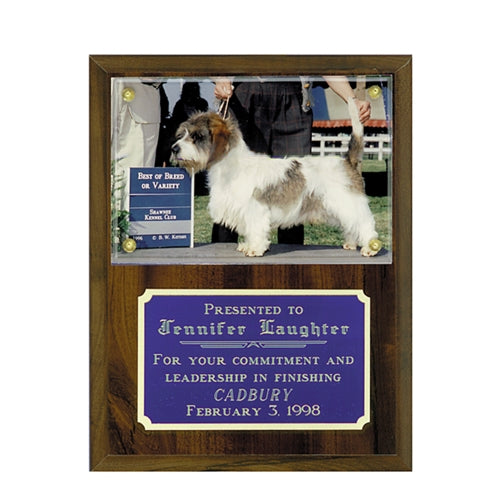 Simulated Walnut Plaque With Photo Plexi Mount
