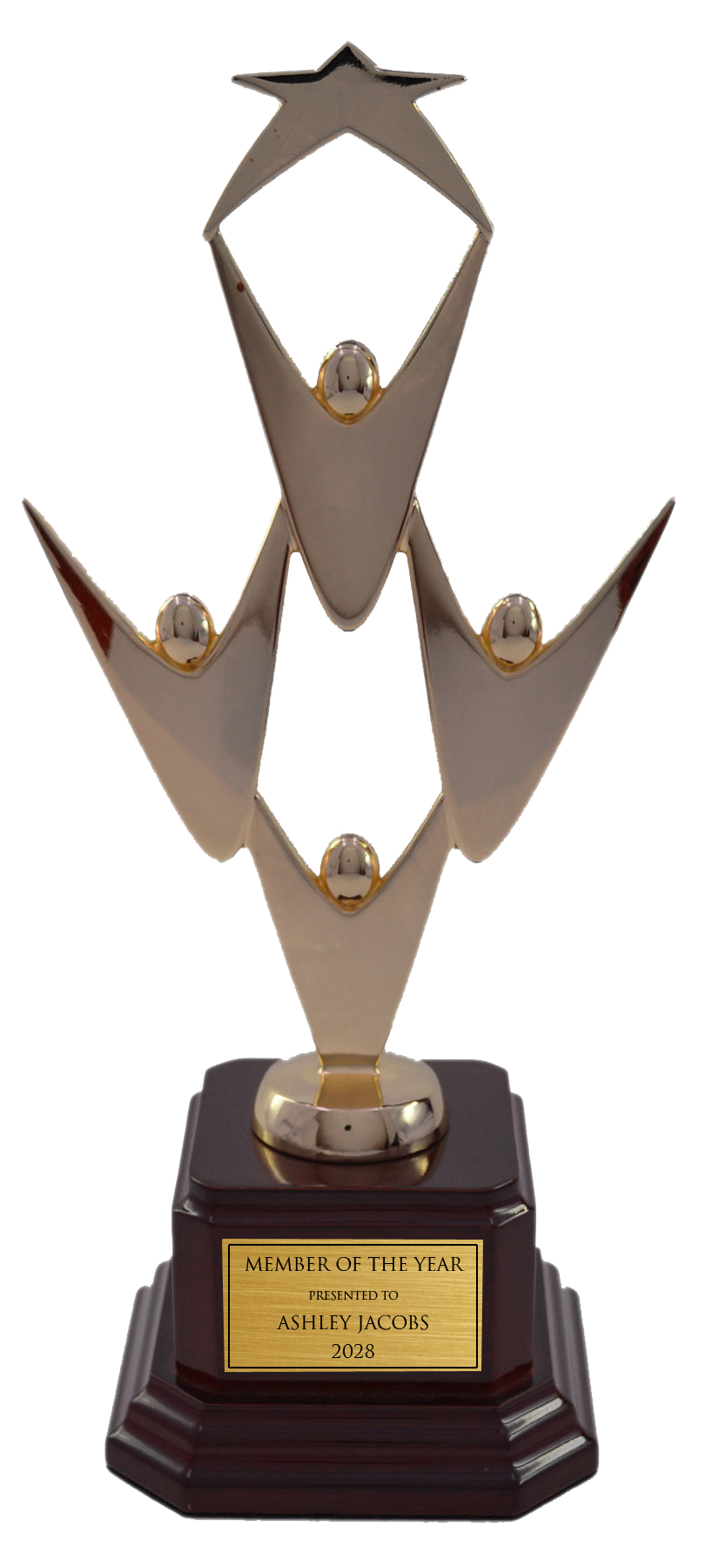 Teamwork Award With Star On Base