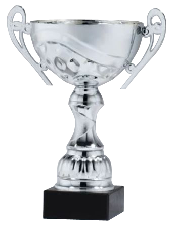 Silver Metal Cup On Marble Base
