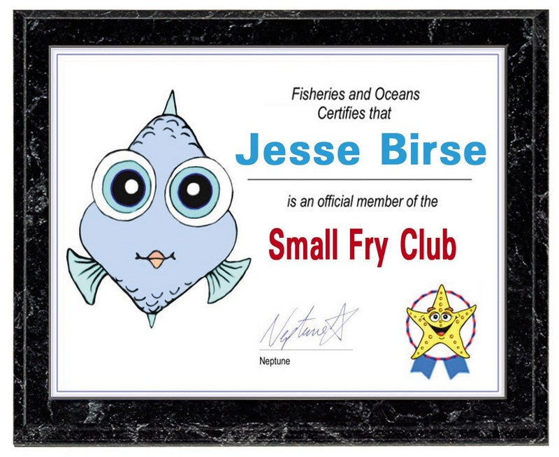 Certificate Plaque