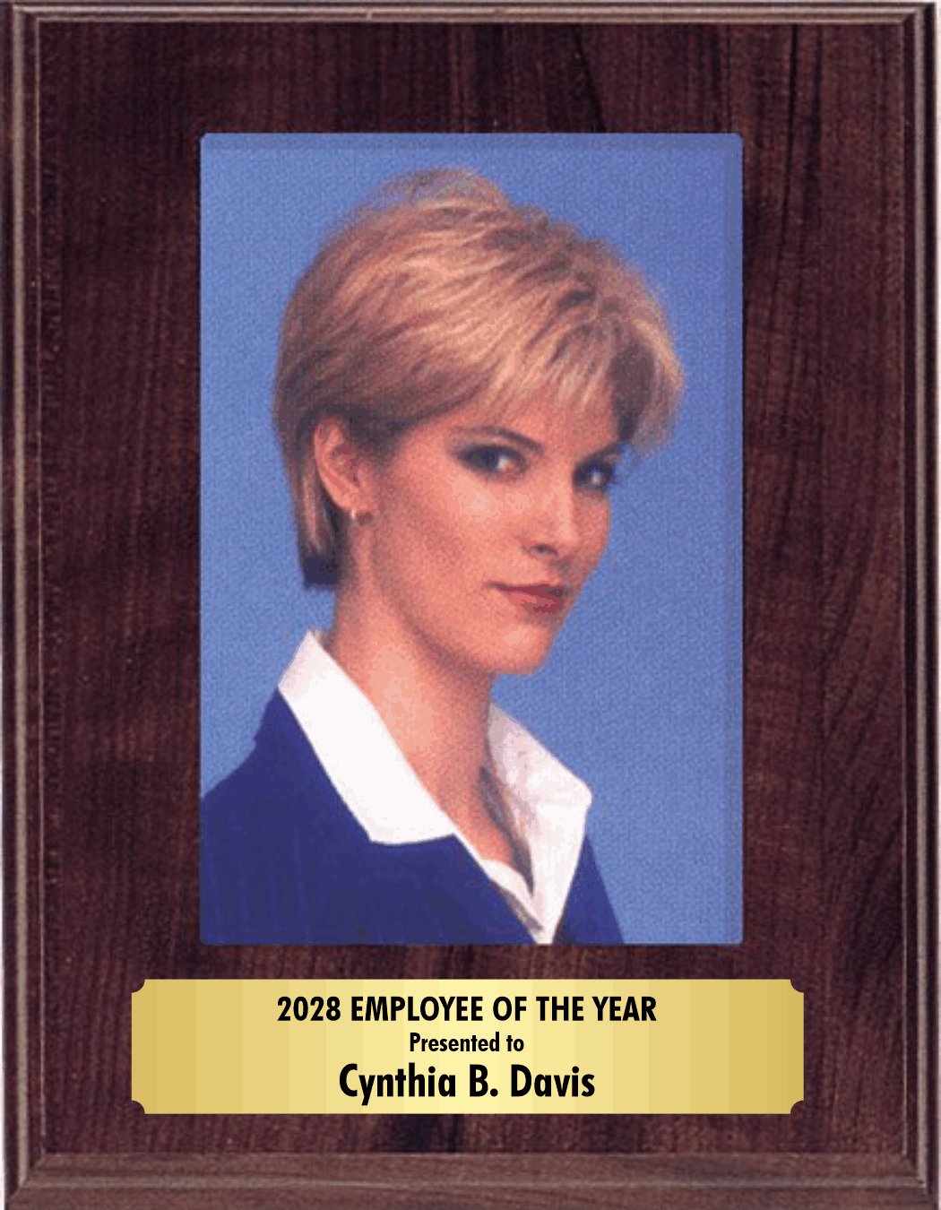 Slide in Picture Plaque