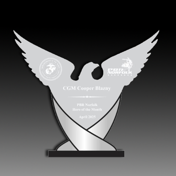 10"H X 11"W  Acrylic Eagle Swoosh With Mirror Accents