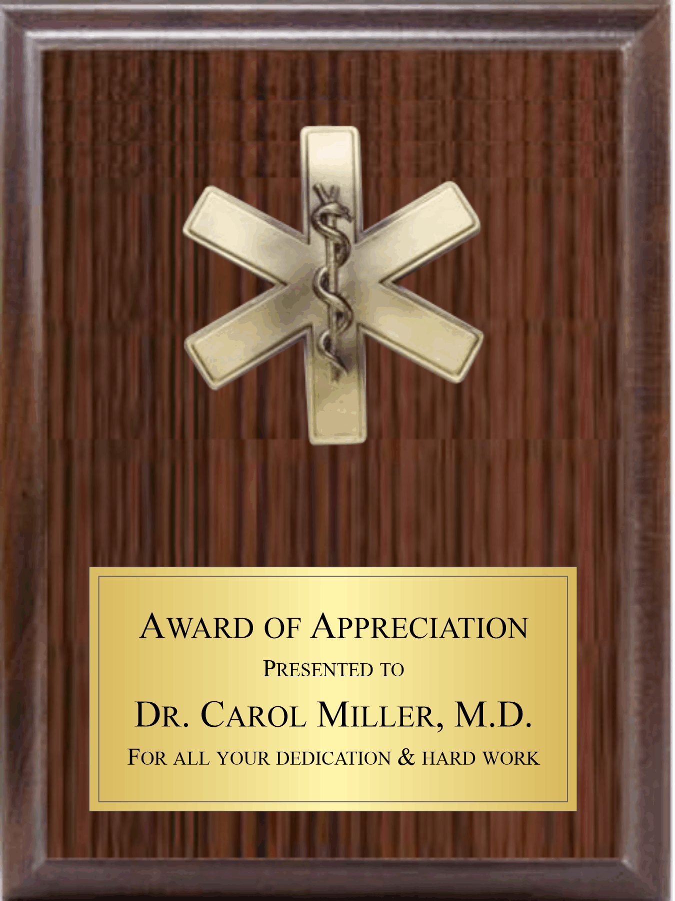 5" Star Of Life On Plaque