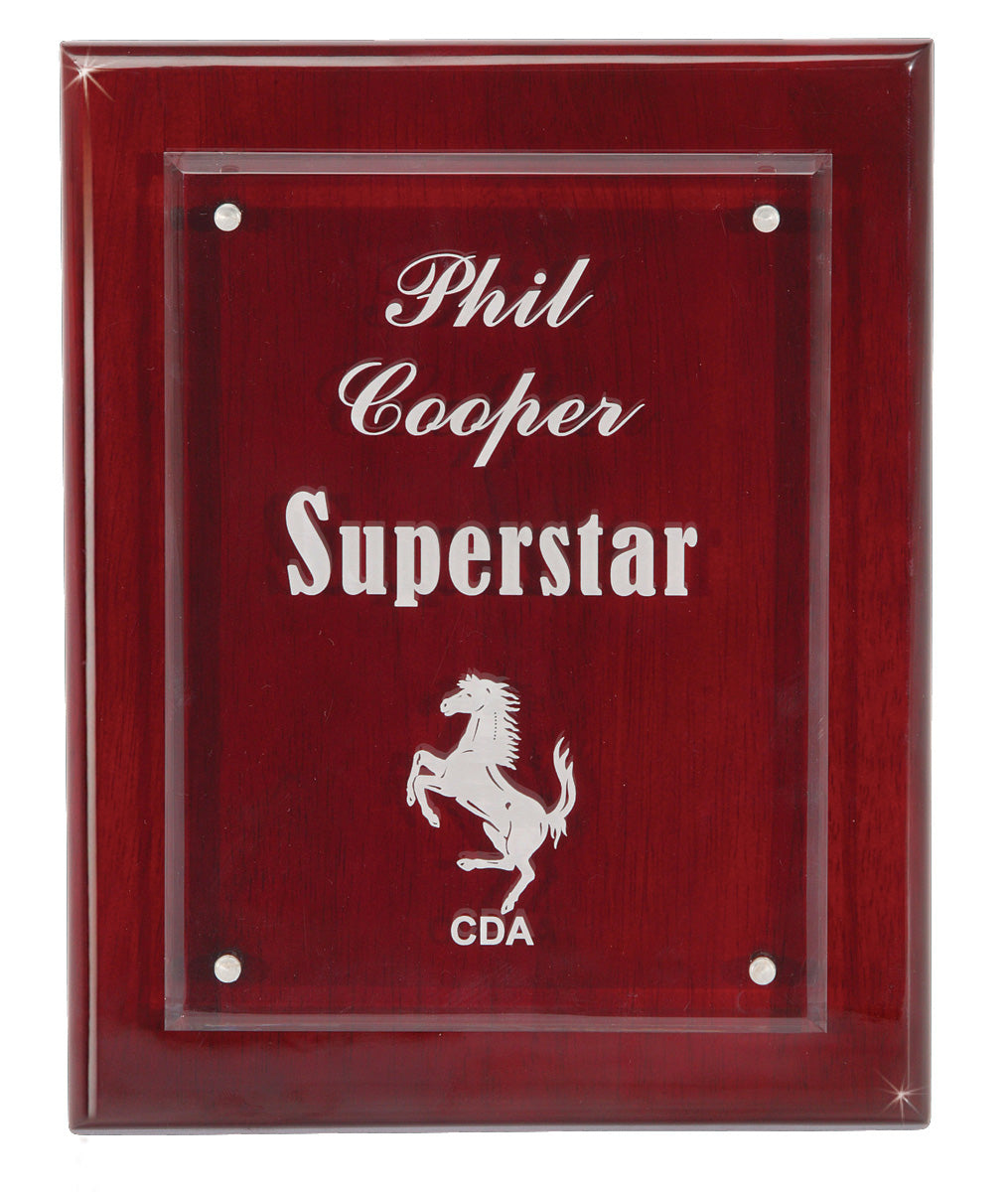 Floating Acrylic Magna Plaque