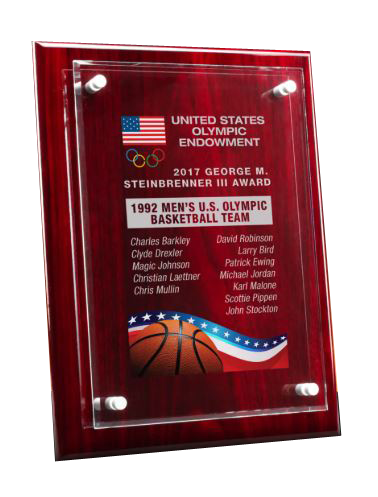 Piano Finish Floating Glass Plaque.  Will Hang Or Stand