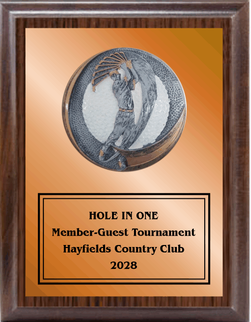7"X9" Plaque With Full Plate And Golf Swing Plaque Mount