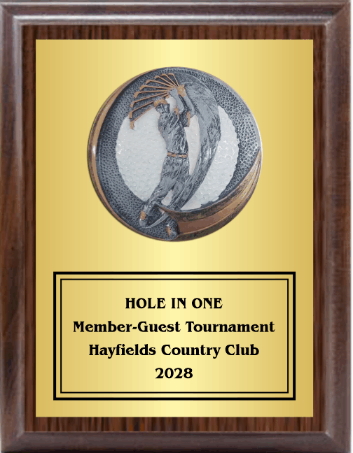 7"X9" Plaque With Full Plate And Golf Swing Plaque Mount