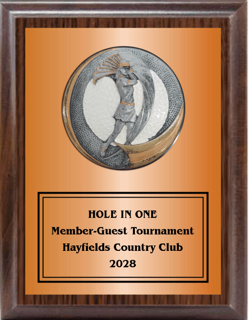 7"X9" Plaque With Full Plate And Golf Swing Plaque Mount