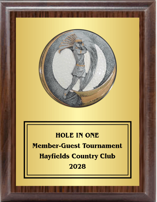 7"X9" Plaque With Full Plate And Golf Swing Plaque Mount