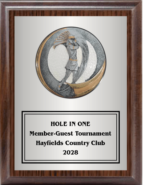 7"X9" Plaque With Full Plate And Golf Swing Plaque Mount