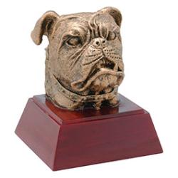 Economy Academic And Mascot Resins