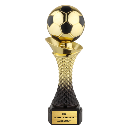 Valor Trophy