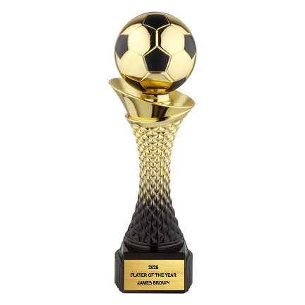 Valor Trophy