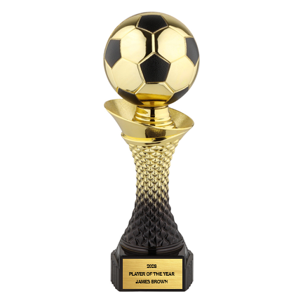Valor Trophy